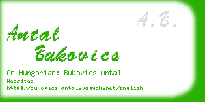 antal bukovics business card